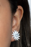 Sunshiny DAIS-y -white